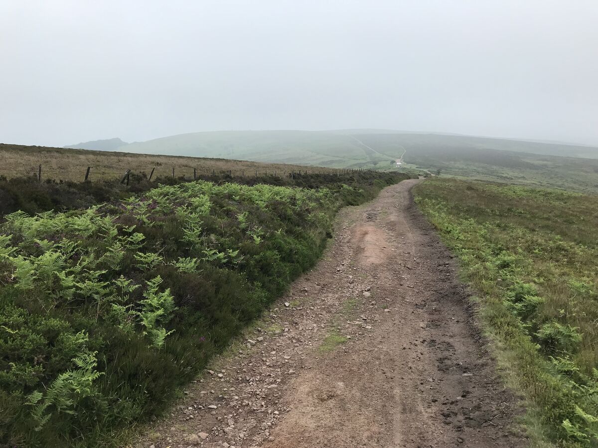Quantock / Exmoor / Westcountry