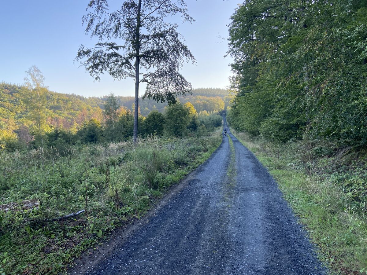 Rhine, Wine & the Romans