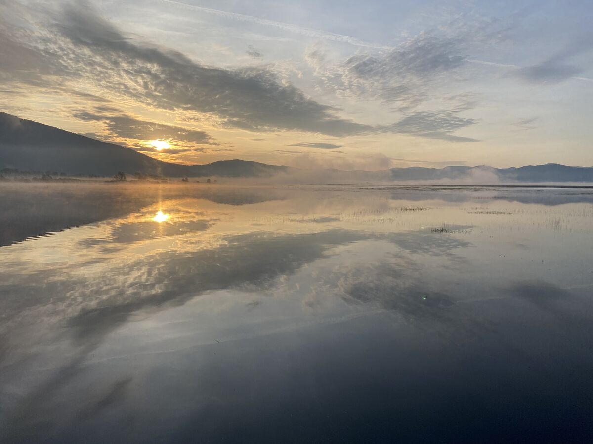 Seven Serpents Quickbite