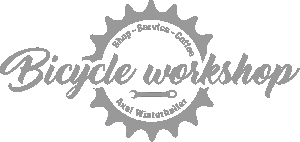 Bicycle Workshop Axel Winterhalter